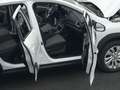 Suzuki SX4 S-Cross 5-Türer 1.4 BOOSTERJET HYBRID Comfort Weiß - thumbnail 12