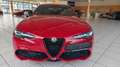 Alfa Romeo Giulia Competizione Q4*Assistenz Paket*Kamera* Rouge - thumbnail 6
