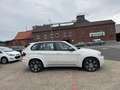 BMW X5 M50d M-PAKET Leder Navi PANO Kamera Head Up Blanc - thumbnail 5
