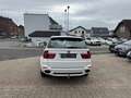 BMW X5 M50d M-PAKET Leder Navi PANO Kamera Head Up Blanc - thumbnail 8