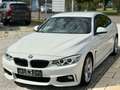 BMW 420 420d Gran Coupé M Sport HUD Memory NaviPro Xenon Weiß - thumbnail 3