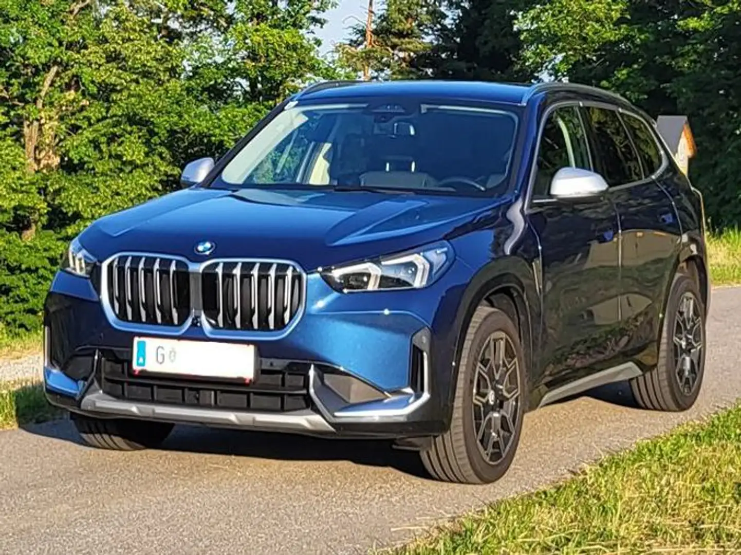 BMW X1 X1 xDrive20d 48V Aut. Синий - 1
