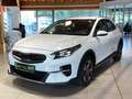 Kia XCeed 1.6 Vision Kamera LED SpurH SitzH LenkradH Weiß - thumbnail 4