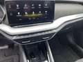 Skoda Octavia Combi 1.5 e-TSI Business Edition Plus Panodak Grau - thumbnail 15