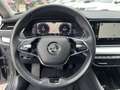 Skoda Octavia Combi 1.5 e-TSI Business Edition Plus Panodak Grau - thumbnail 14