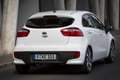 Kia Rio 5 Porte 1.1 CRDi Active Blanco - thumbnail 7