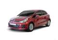 Kia Rio 5 Porte 1.1 CRDi Active Blanco - thumbnail 28