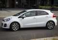 Kia Rio 5 Porte 1.1 CRDi Active Blanco - thumbnail 19