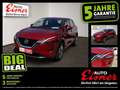 Nissan Qashqai 1.3 DIG-T MHEV Visia Fernlichtass. LED Rot - thumbnail 1