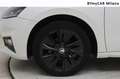 Skoda Fabia 1.0 tsi evo Style 95cv Bianco - thumbnail 10