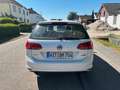 Volkswagen Golf VII Variant Comfortline 1.6 TDI DSG SHZ Nav Weiß - thumbnail 6