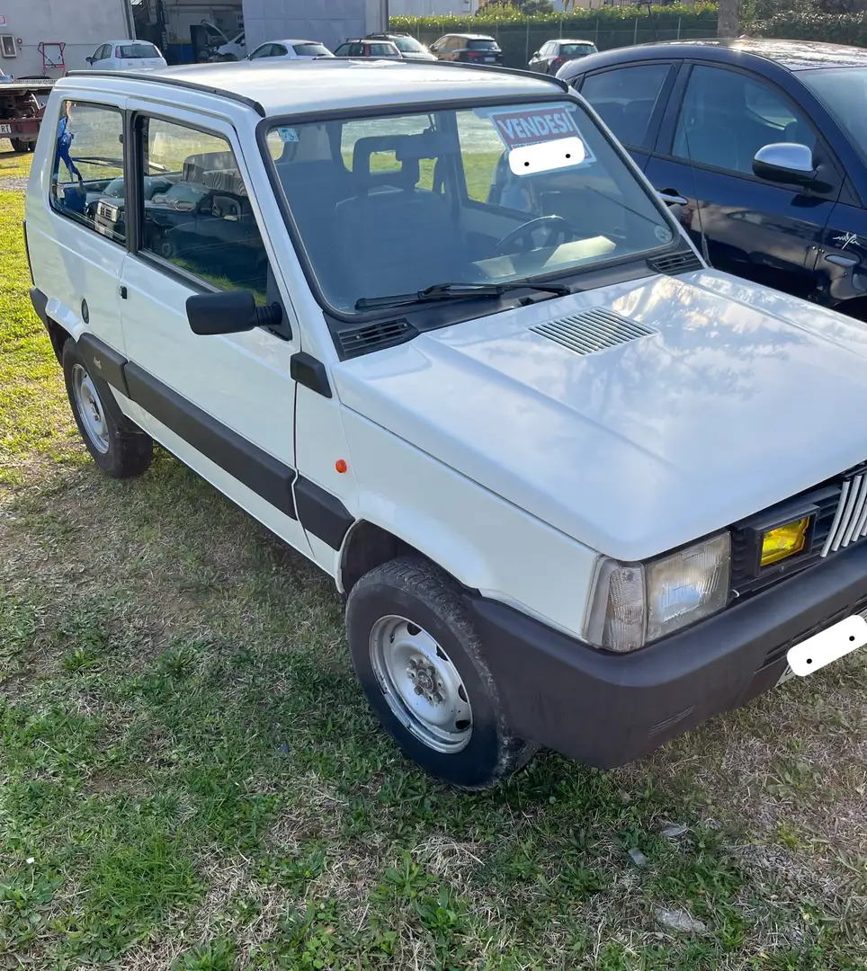 Fiat Panda Panda 1.0 Sisley 4x4 Gris - 2