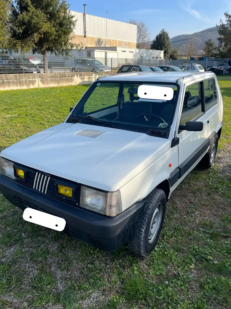 Fiat Panda Panda 1.0 Sisley 4x4 Gris - 1