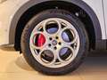 Alfa Romeo Tonale 1.6 diesel 130 CV DCT6 Sprint Bianco - thumbnail 14