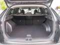 Hyundai TUCSON 1.6 Prime Mild-Hybrid 2WD HUD LED 360° Grün - thumbnail 19