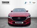 Mazda CX-30 Selection 2WD 2.0 SKYACTIV-G M Hybrid EU6d Rot - thumbnail 2