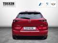 Mazda CX-30 Selection 2WD 2.0 SKYACTIV-G M Hybrid EU6d Rot - thumbnail 13