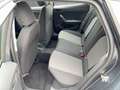 SEAT Ibiza Reference 1.0 TSI Grau - thumbnail 11