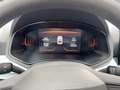 SEAT Ibiza Reference 1.0 TSI Grau - thumbnail 9