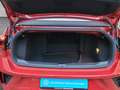 Volkswagen T-Roc Cabriolet R-Line 1.5 TSI DSG AHK/Black Sty Rot - thumbnail 7