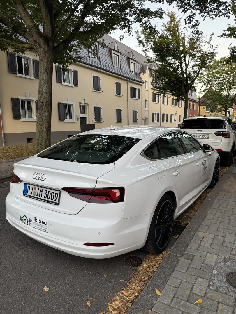 Audi A5 basis Weiß - 2