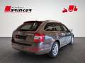 Skoda Octavia Combi Joy 1.2 TSI Bi-Xenon Kurvenlicht 2-Zonen-Kli Braun - thumbnail 6