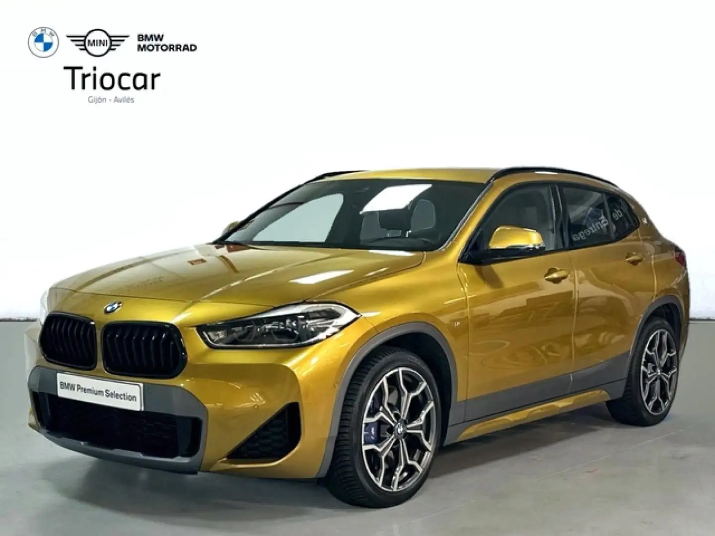 BMW X2 xDrive 20dA - 1
