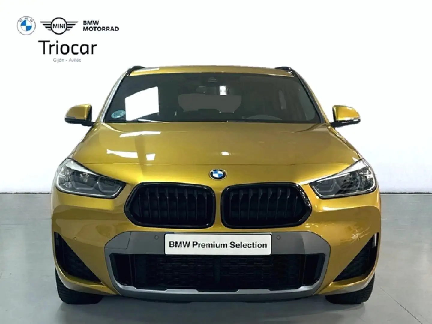 BMW X2 xDrive 20dA - 2