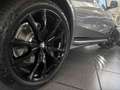 BMW X7 xDrive40d MSport Pro DA/PA Prof SkyLounge B/W Grau - thumbnail 3