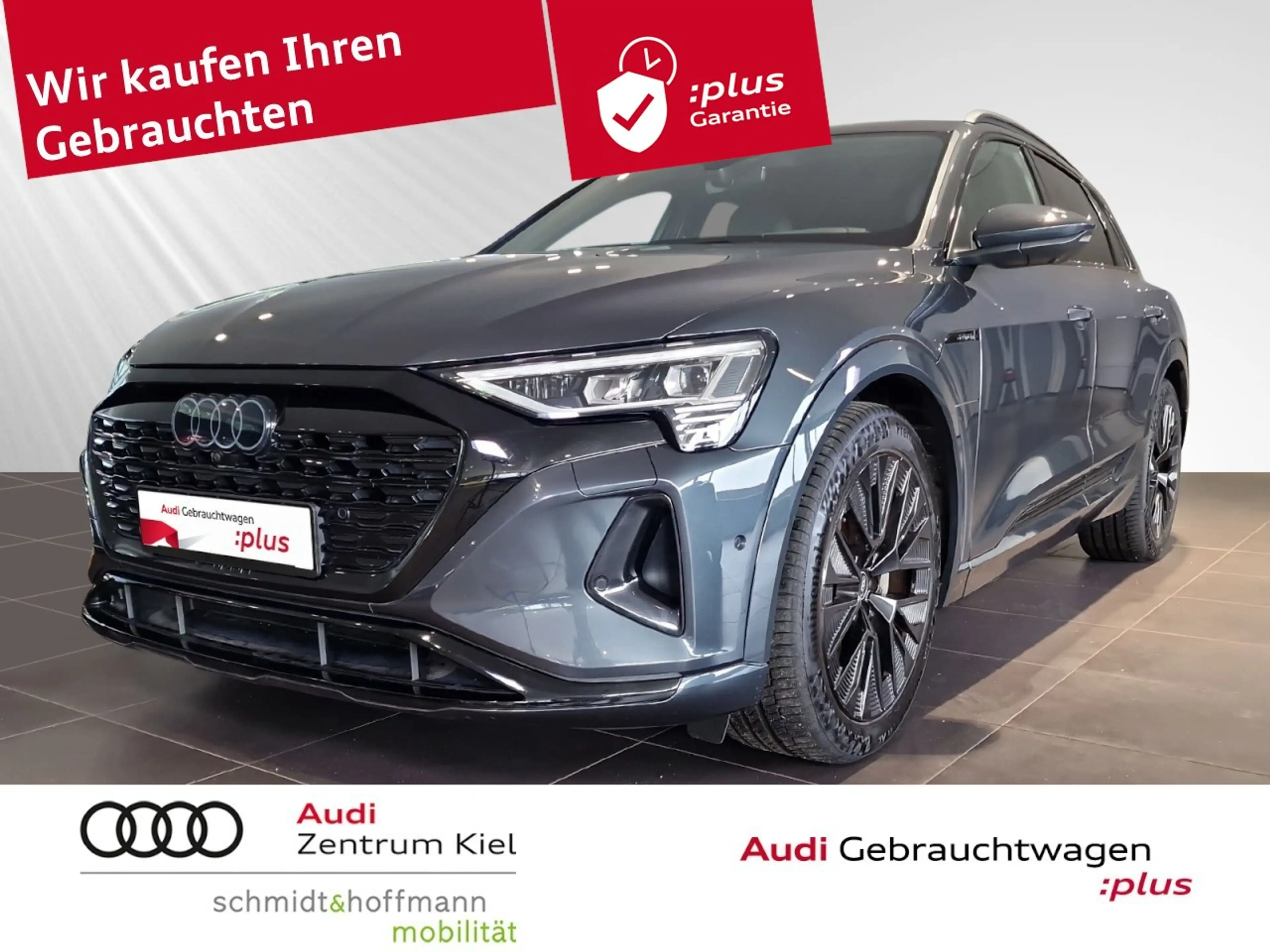 Audi Q8 e-tron 55 quattro Advanced Navi+ Matrix-LED Klima Navi