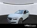 Skoda Kamiq 1.5 TSI DSG Monte Carlo AHK, Navi, LED Grau - thumbnail 1