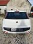 Fiat Punto Evo 1.3 MULTIJET Blanc - thumbnail 4