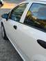 Fiat Grande Punto Grande Punto 1.4 5 porte Actual Natural Power Bianco - thumbnail 11