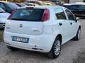 Fiat Grande Punto Grande Punto 1.4 5 porte Actual Natural Power Bianco - thumbnail 5