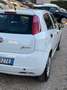 Fiat Grande Punto Grande Punto 1.4 5 porte Actual Natural Power Bianco - thumbnail 6