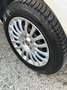 Fiat Grande Punto Grande Punto 1.4 5 porte Actual Natural Power Bianco - thumbnail 10