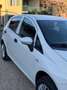 Fiat Grande Punto Grande Punto 1.4 5 porte Actual Natural Power Bianco - thumbnail 4