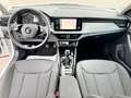 Skoda Kamiq 1.0TSI Ambition LED CarPlay Kamera Spur Weiß - thumbnail 11