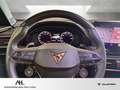 CUPRA Formentor 2.0 TSI VZ 4Drive DSG LED Navi Pano Brembo AHK Grau - thumbnail 12