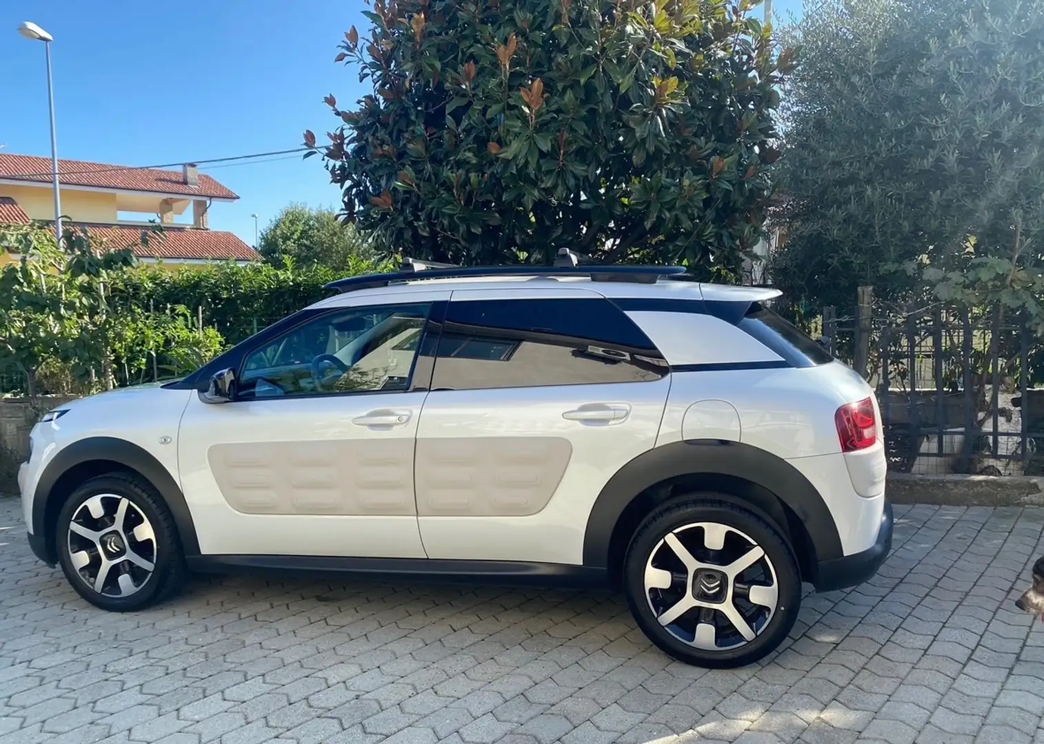 Citroen C4 C4 Cactus 1.6 bluehdi Shine Edition Bianco - 1