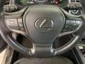 Lexus UX 200 UX 250h Hybrid 2WD Suv anche noleggio Grijs - thumbnail 17