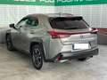 Lexus UX 200 UX 250h Hybrid 2WD Suv anche noleggio Gri - thumbnail 6