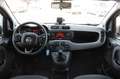 Fiat Panda 1.0 firefly hybrid City Life-OK NEOPATENTATI Bianco - thumbnail 12