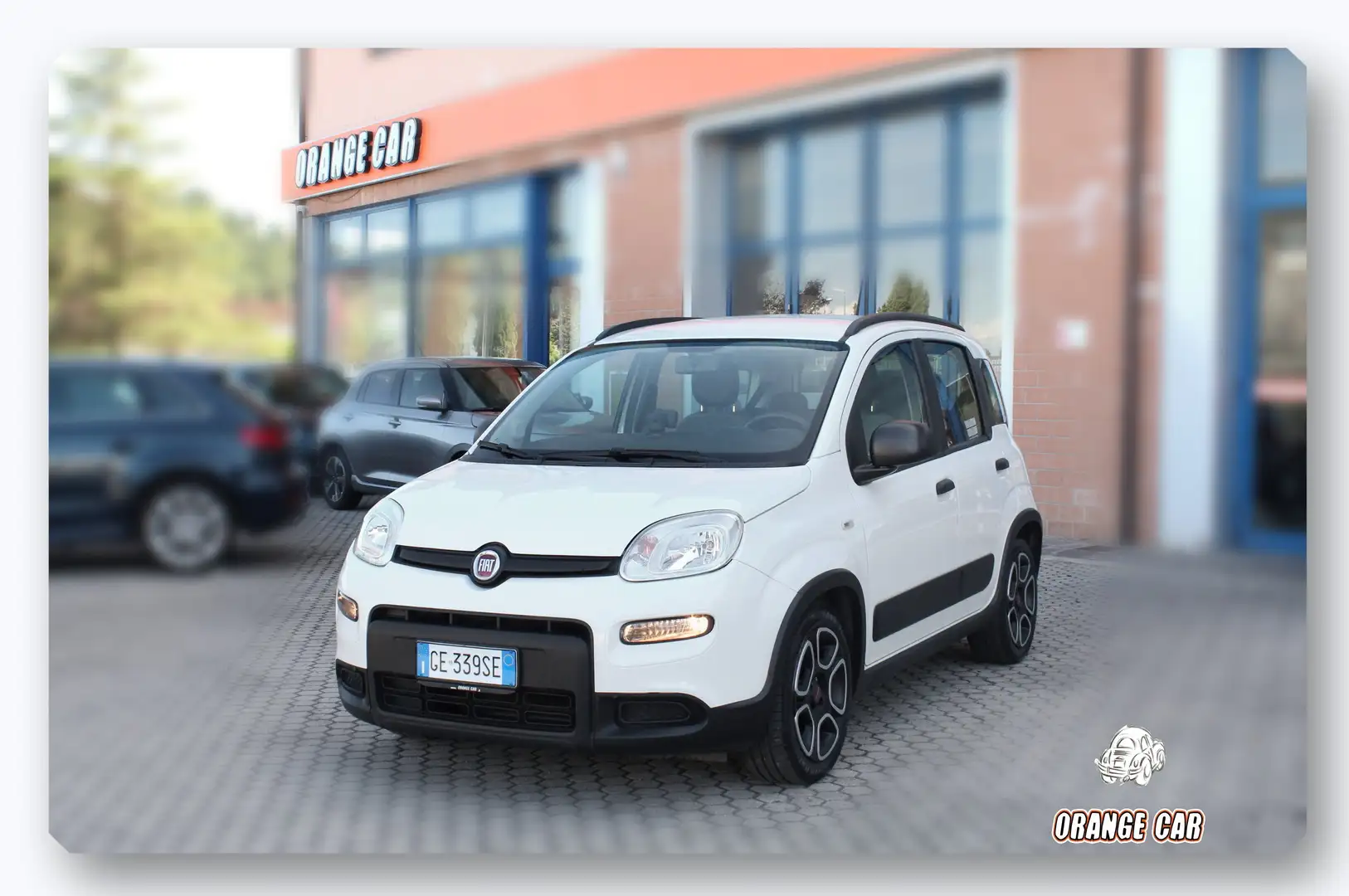 Fiat Panda 1.0 firefly hybrid City Life-OK NEOPATENTATI Bianco - 1