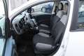 Fiat Panda 1.0 firefly hybrid City Life-OK NEOPATENTATI Bianco - thumbnail 7