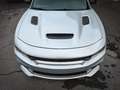 Dodge Charger CHARGER 5.7 V8 R/T PLUS*MEMORY*ALPINE*LED* Weiß - thumbnail 12