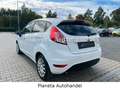 Ford Fiesta 1,4 71kW*1.HAND*WENIG-KM*KLIMA*GANZJREIFE Blanc - thumbnail 7