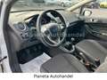 Ford Fiesta 1,4 71kW*1.HAND*WENIG-KM*KLIMA*GANZJREIFE Blanc - thumbnail 13
