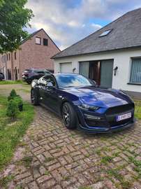 2.3 EcoBoost (EU6.2)