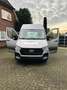 Hyundai H 350 H350 Cargo L3H2 EU6 S&S Profi - thumbnail 14